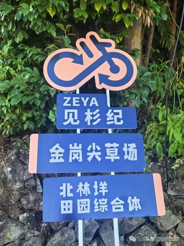 邂逅初冬醉美泽雅风情！藏于乡野的冬日艳遇，每个转角都有惊喜！