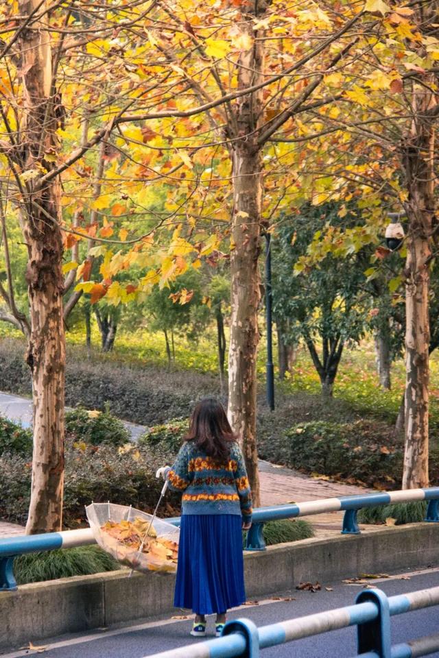 轨道直达！重庆“顶流”梧桐大道已经美到next level了！