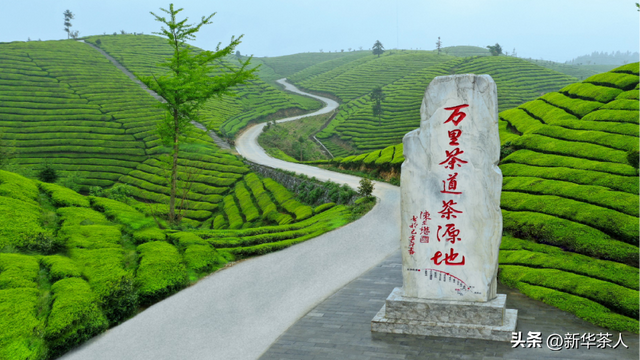神农尝百草与茶的发现利用