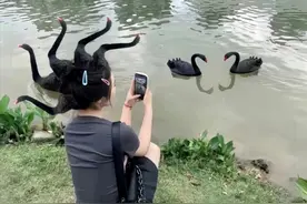 男友拍照，生死难料，哈哈笑不活了图片