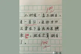 小时候不明白，老师为什么要在100分下面画两条杠 现在总算明白了图片