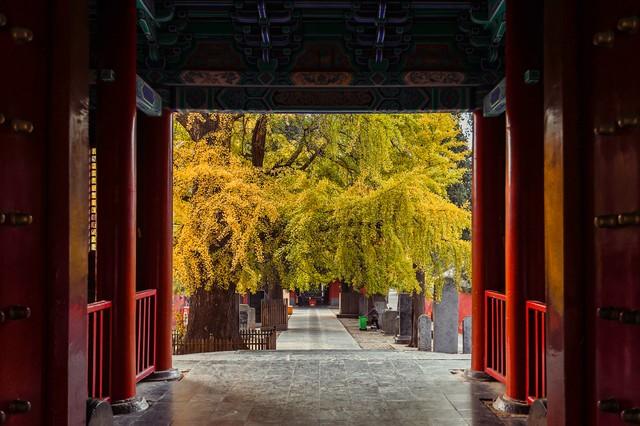 不藏了，河南5个禅意秋景点，帮你在市井中奔波的你寻回内心宁静