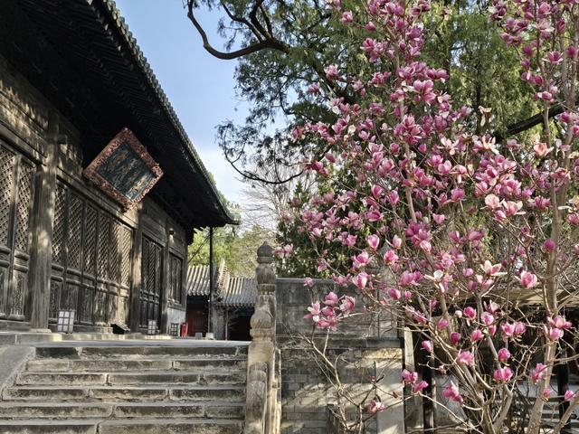 博物FUN | 大觉寺：千年古刹的禅意与新生