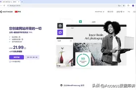 在海外VPS服务器（Hostinger）上配置宝塔面板的操作步骤图片
