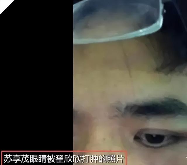 三观炸裂！翟欣欣出轨聊天记录流出，尺度大到咂舌，判12年都嫌少