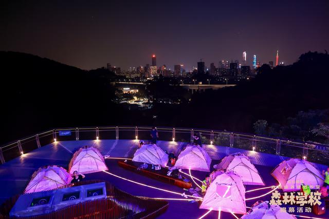 广州亲子研学，夜游植物园，走进大自然的夜课堂
