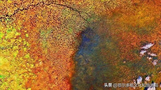 内蒙古杭锦旗：湿地秋景惹人醉