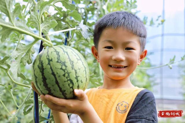 来钢城，宠你！这个暑假为钢城心动“亿”次！