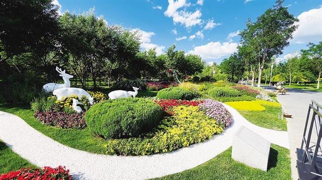 呼和浩特花境“画境”:以植物为笔 方寸间绘就生态画卷