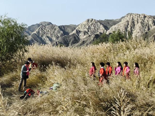 青铜峡黄河大峡谷秋景醉游人
