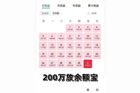 让我们看看网友放支付宝的200W，利息怎么会这么高？图片