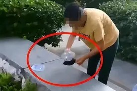 女子在小区内放生蟑螂后续：警方介入，女子身份被曝，果然有问题图片