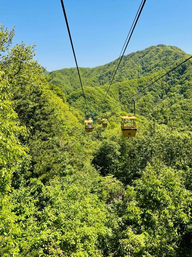 河南大变局！栾川突然爆红，河南西部市县集体看懵～