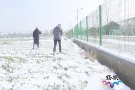 雪后天晴 种植户田间地头忙“止损”图片