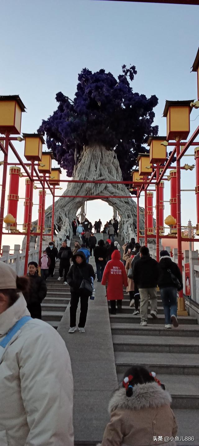 河头老街免费啦