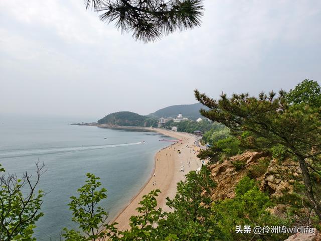 大连海之韵公园·棒槌岛