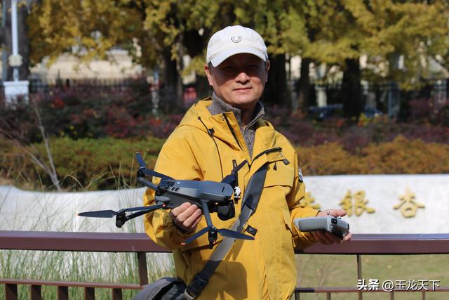 散文丨古银杏树下