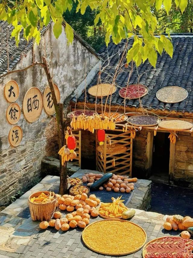 剧组扎堆！黄陂这座600岁古村，晒秋现场秒变短剧片场