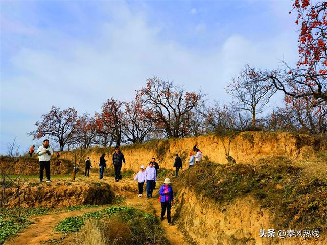 彬州市：多举措提升罗店村柿林观赏地游客满意度