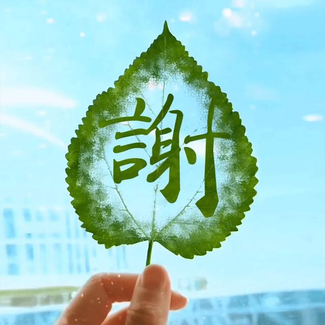 古风意境网名,好听的仙气微信名字,树叶姓氏头像