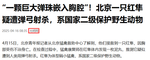 1只就判！北京一学校发现1只受伤，体内有颗巨大泥丸，没救过来