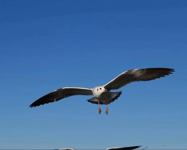 冬天在大理，要做这10件事！