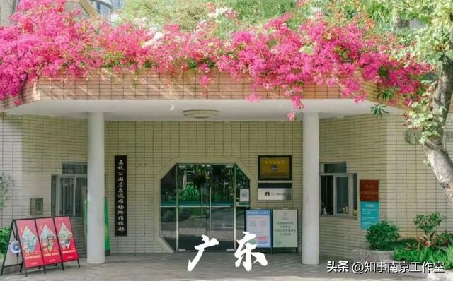 广东人为什么这么爱南京 ？