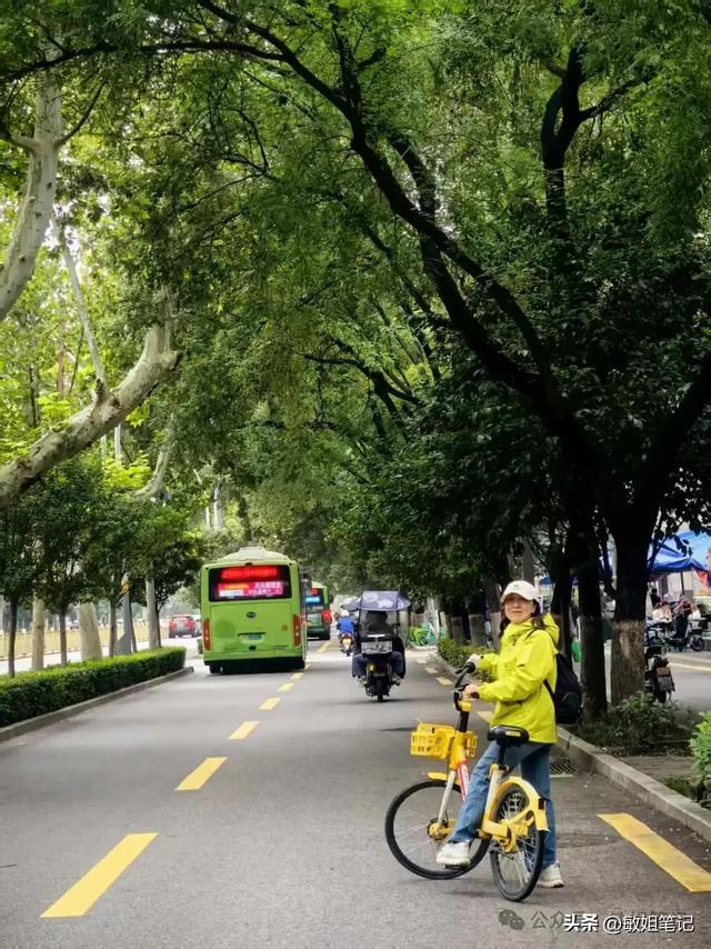 【西安游学之五】城市骑行：盛唐光影与市井烟火的交响
