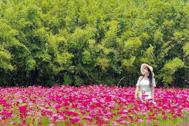 花期已至，快带妈冲！花海乐园免费玩也太香了