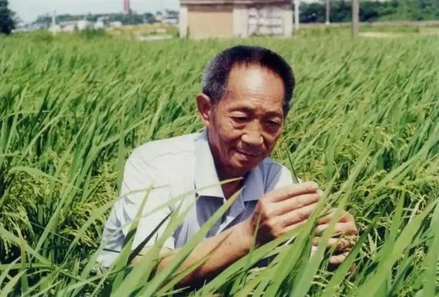 2002年两名混混因抢劫，毁了座二线城市，中国国运也被按下暂停键