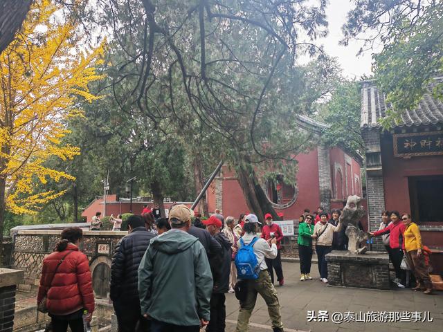 泰安：又是一年重阳时！带家中老人去哪儿走走？推荐一个免费景点