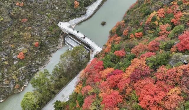 这才是秋天该有的样子~