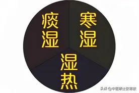 寒湿，痰湿，湿热 ，中医教你对症下药，健脾祛湿，事半功倍图片
