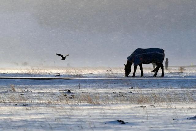 为了这道光，我做了一次疯狂的行动