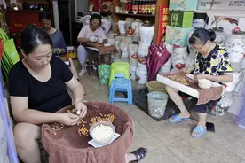 苏州第一批本地鸡头米来哉图片