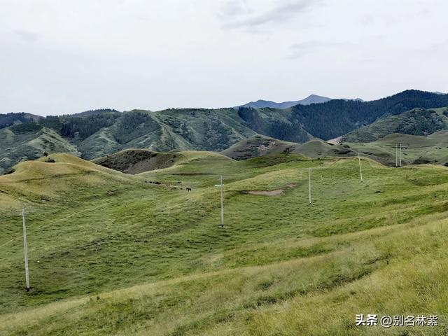 从乌鲁木齐到独山子，有一条省道不输独库公路，风景绝美（3）