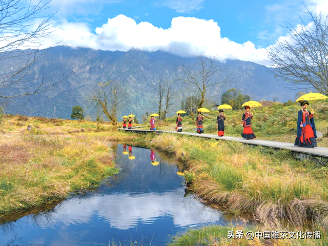 乐山乐水，顺风顺水