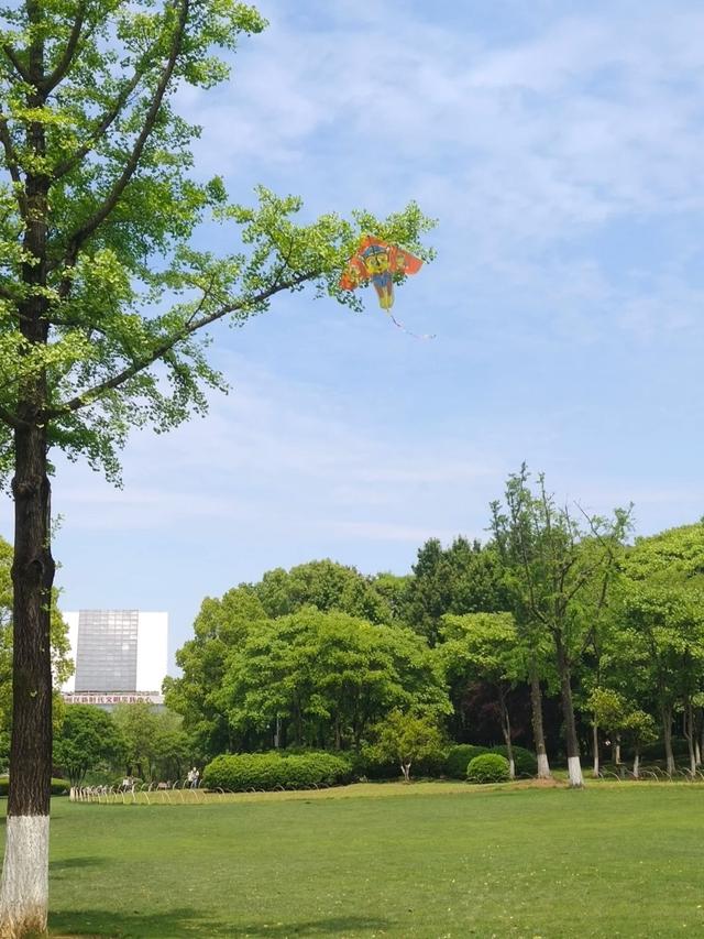 刚从宁波回来，毫不客气的说，宁波就是全国郊区城建天花板！