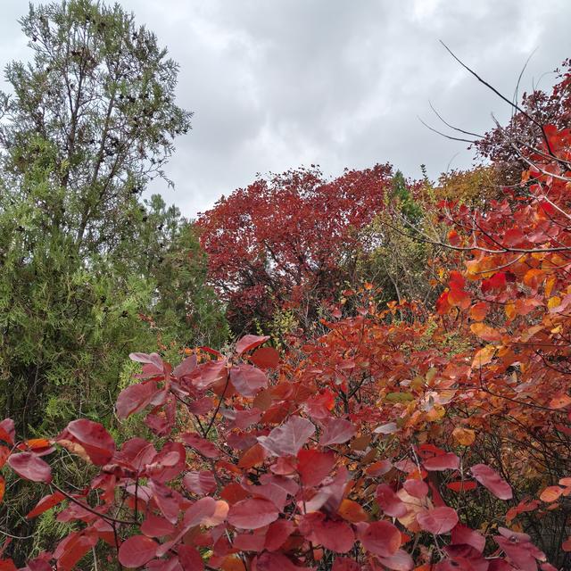 爬山有感，学会选择懂得放弃