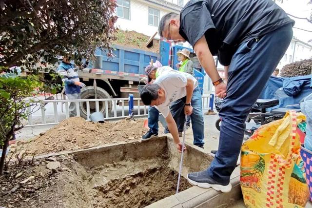 大理“金色童话”背后藏“秘密”