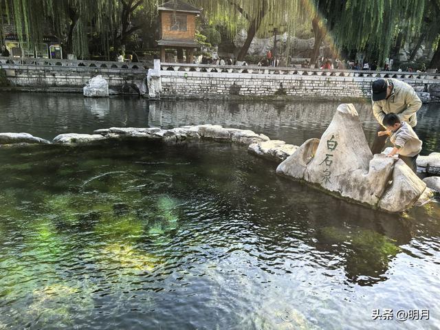 泉城泉水撒欢啦！