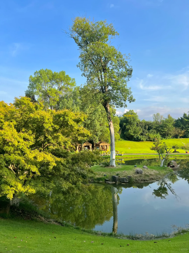 成都10个周末一日游宝地，没有门票~徒步露营溜娃都巴适！