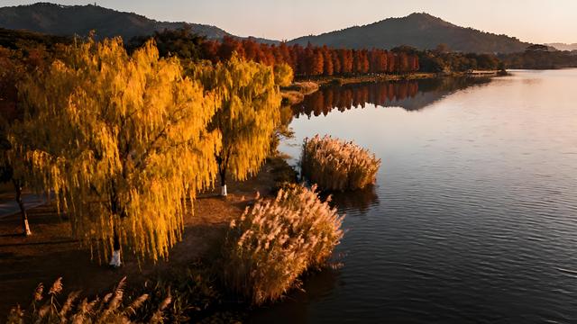 绯云坠野丹枫岫，金浪翻空粤韵稠 —— 羊城秋行揽胜记