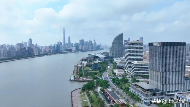 终于！杨浦最美的秋天来了……交出你的秋叶美照，惊喜好礼相送