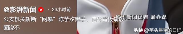 正义不会缺席！陈芋汐网暴真相流出，幕后黑手被抓，全红婵太无辜