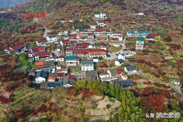 四明山脉的精华，四明山镇，全域皆风景