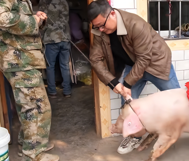 呆呆妹做梦没想到	，杀猪宴收官仅1天， 一家人就走上大衣哥的老路