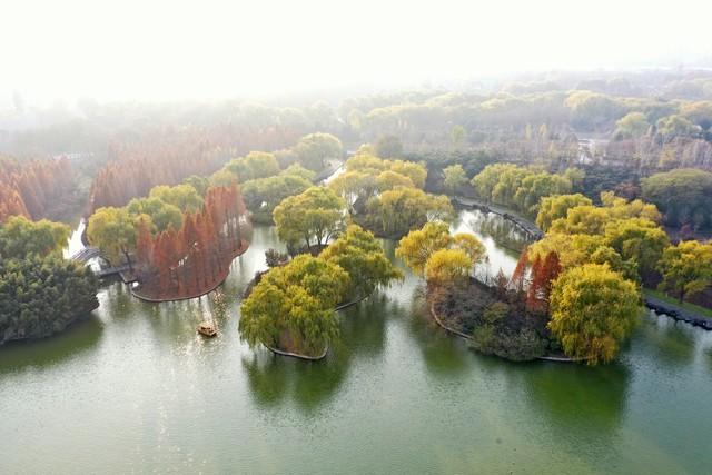 洛阳的秋天在这里封神！3条禅意路线，最后一条让摄影师舍不得走