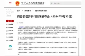 5年规模增长超10倍！跨境电商如何进一步发展？专家解读图片