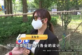设计师想转行做重庆小面，交了加盟费，隔天反悔了图片
